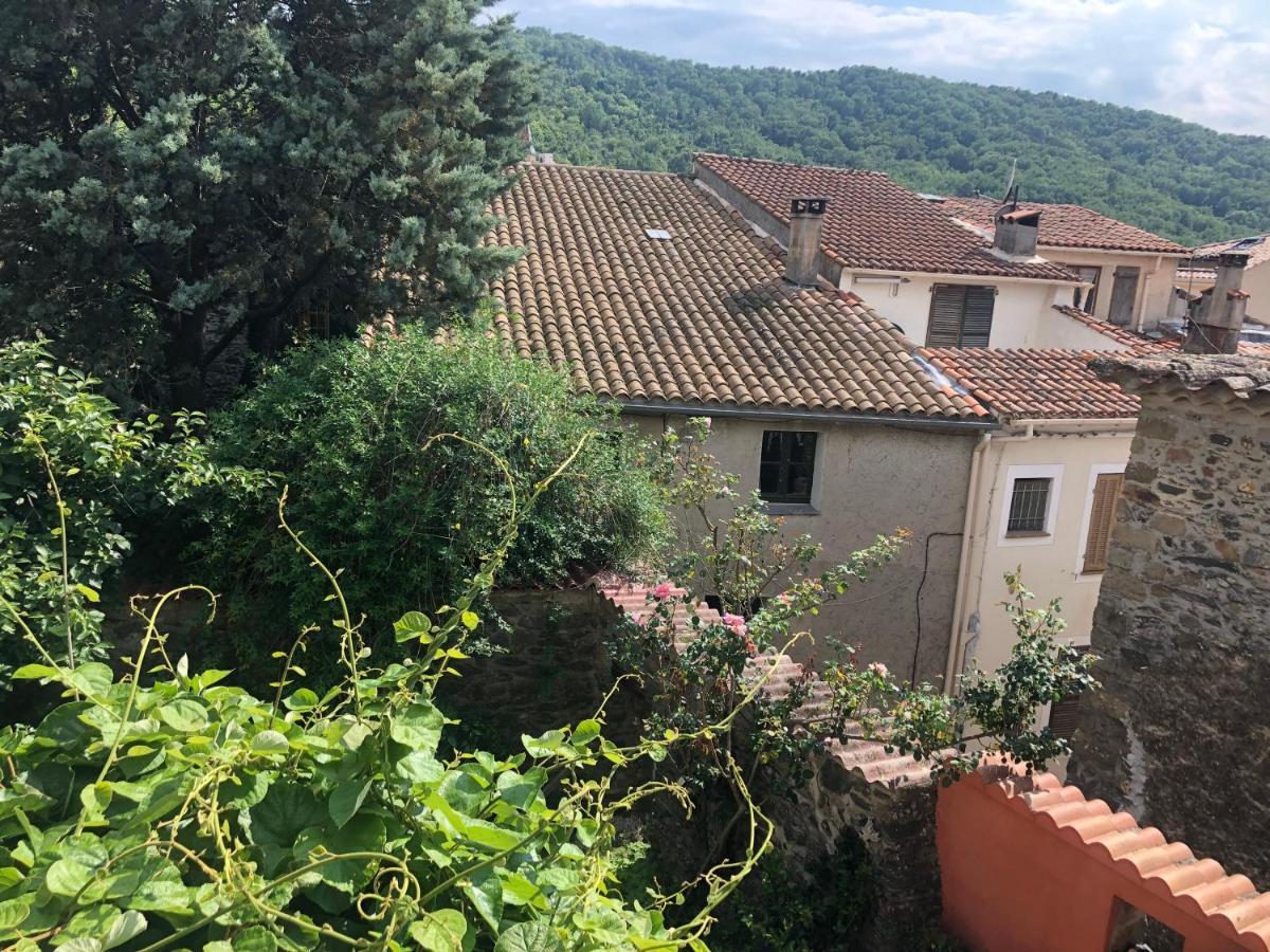 La Provence Authentique A 30 Minutes Des Plages Leilighet Collobrières Eksteriør bilde