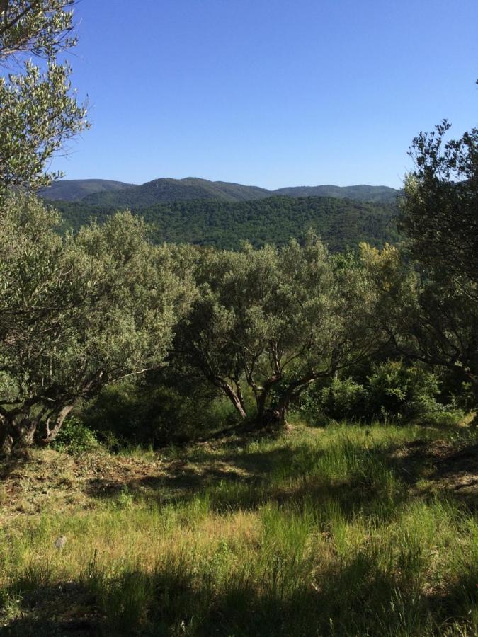 La Provence Authentique A 30 Minutes Des Plages Leilighet Collobrières Eksteriør bilde