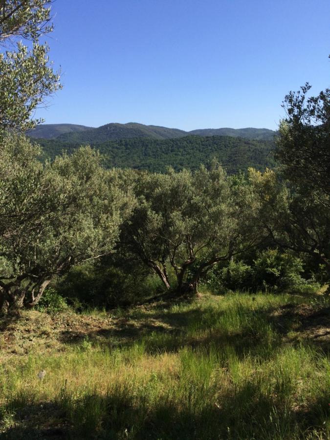 La Provence Authentique A 30 Minutes Des Plages Collobrières Eksteriør bilde