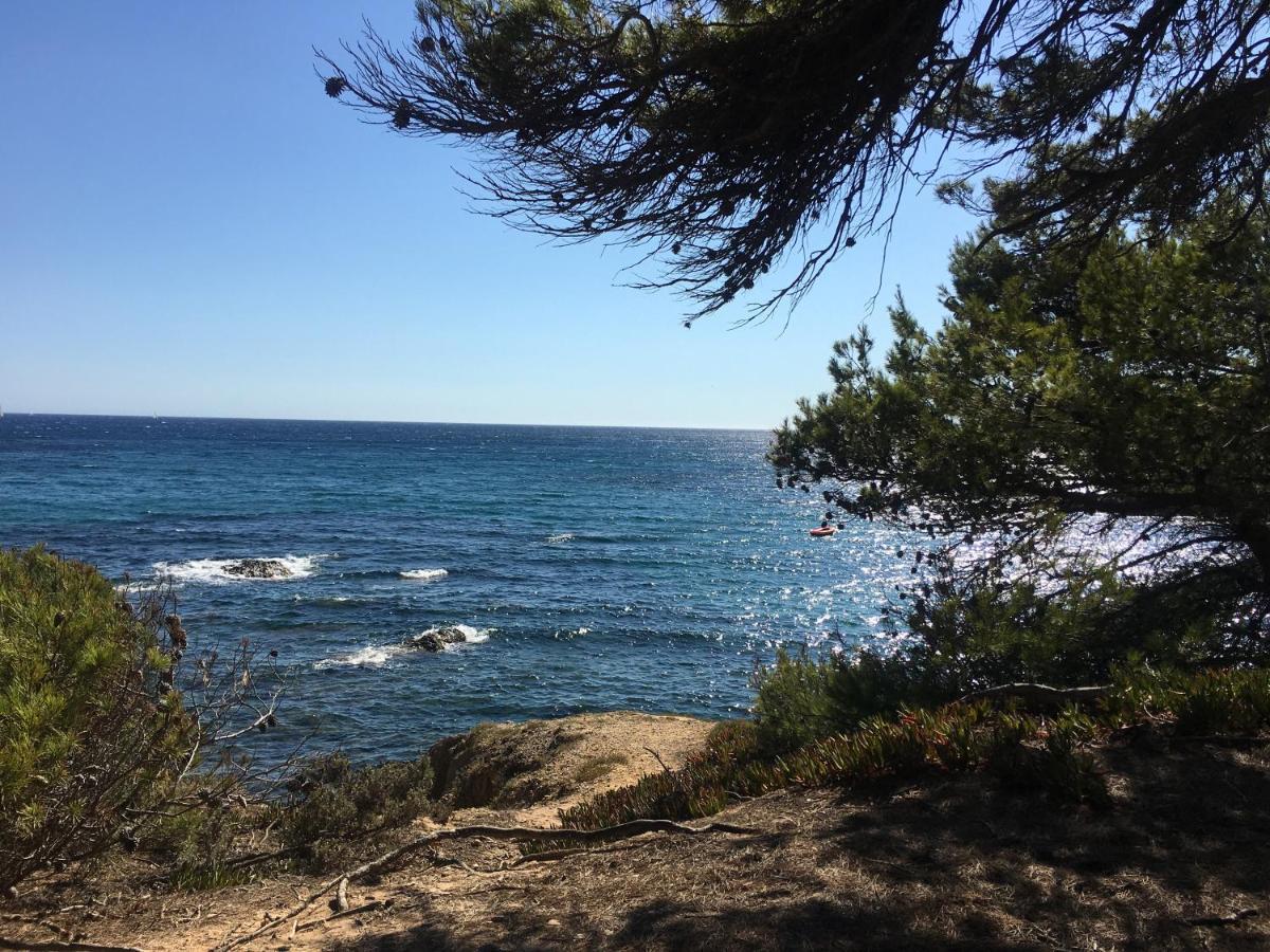 La Provence Authentique A 30 Minutes Des Plages Leilighet Collobrières Eksteriør bilde