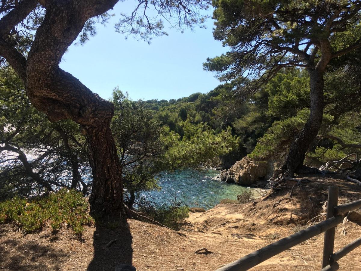 La Provence Authentique A 30 Minutes Des Plages Leilighet Collobrières Eksteriør bilde